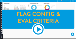 Flag config and EVAL Criteria